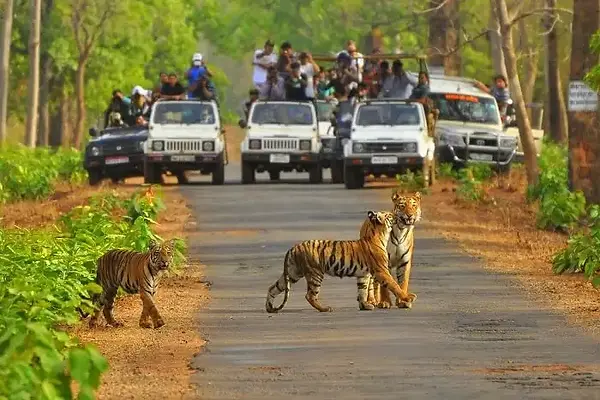 Sariska Wildlife Santuary